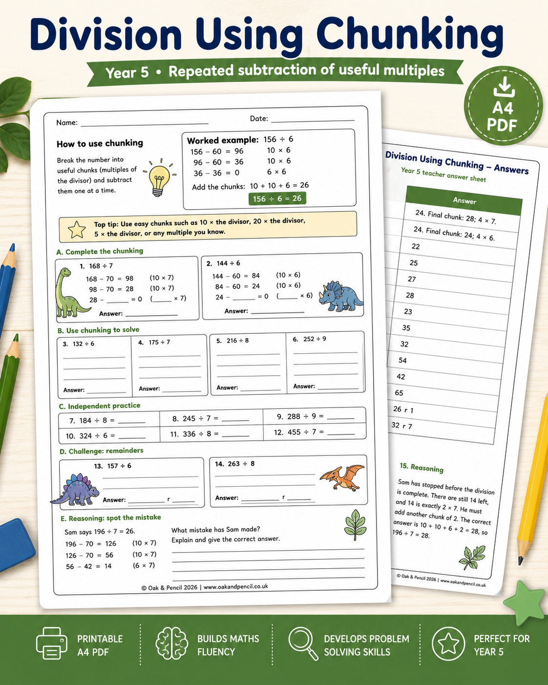 Year 5 Division Using Chunking Worksheet | Printable PDF