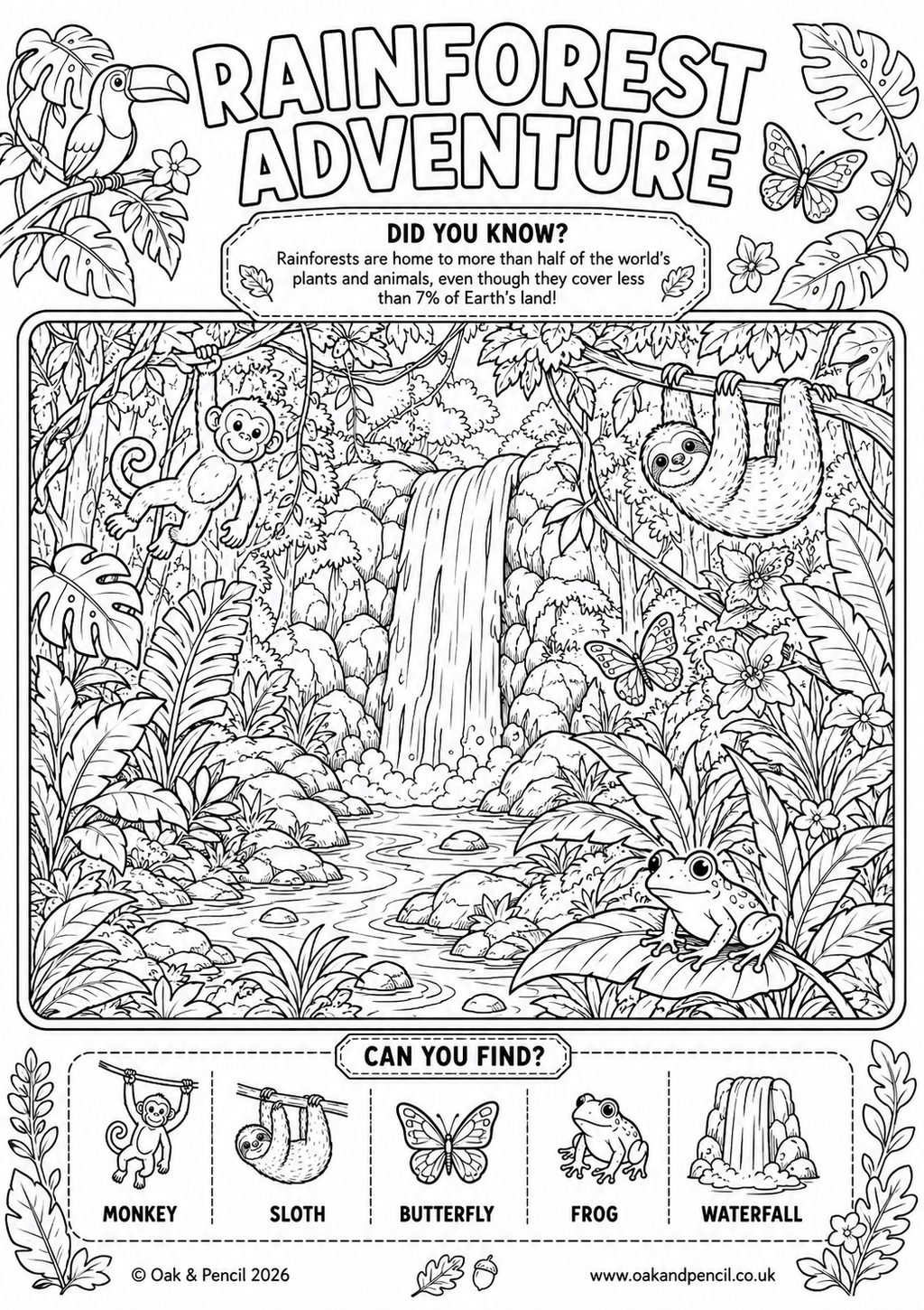 Rainforest Colouring Worksheet
